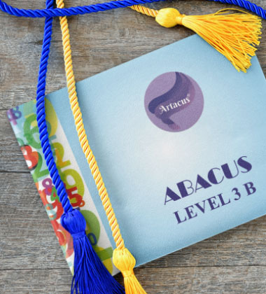 Abacus Level 3 Book B