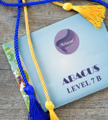 Abacus Level 7 Book B